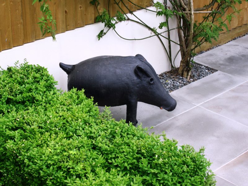Contemporary urban garden