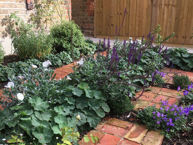 lush-front-garden-02