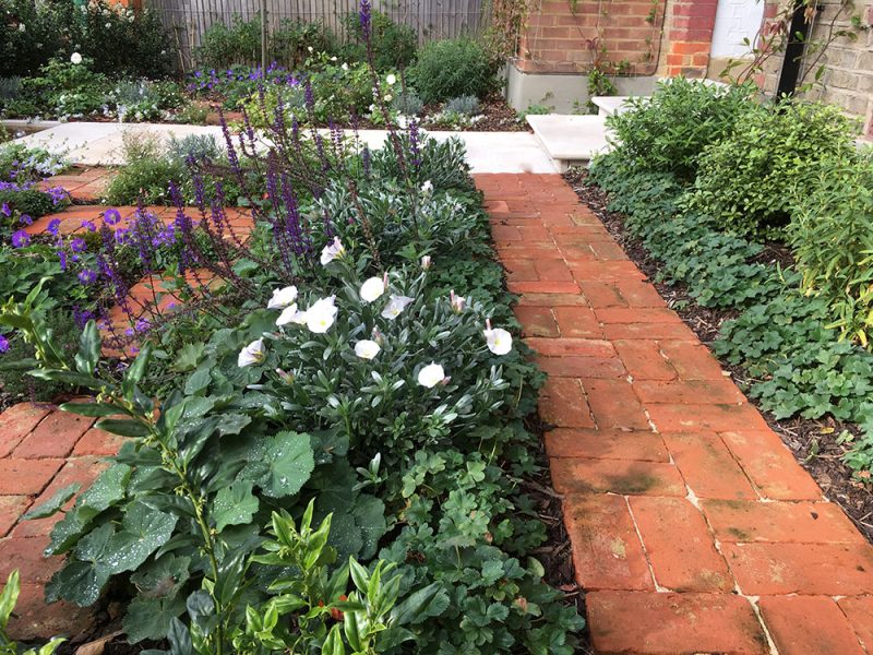 lush-front-garden-03