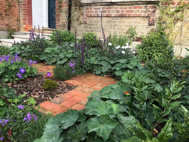 lush-front-garden-04