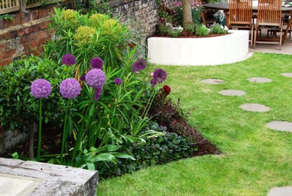 Urban town garden