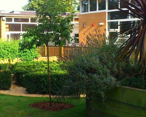Commercial public spaces - Fielding primary school